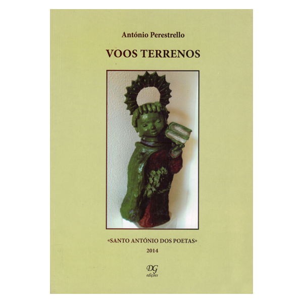 Voos Terrenos
